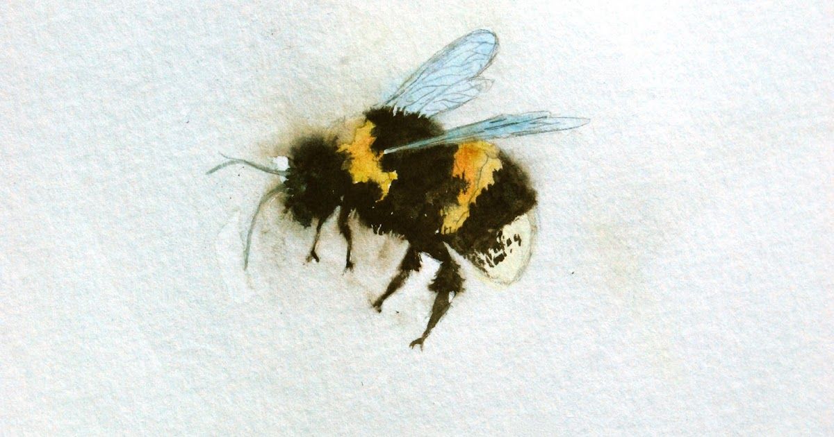 1200x630 Title Bumble Bee In Haze Medium Watercolor On Paper Size 6x9