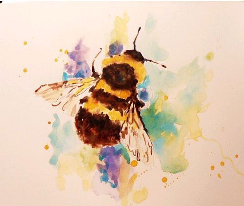 500x422 Watercolour Animals By Alison Fennell Watercolour In 2018