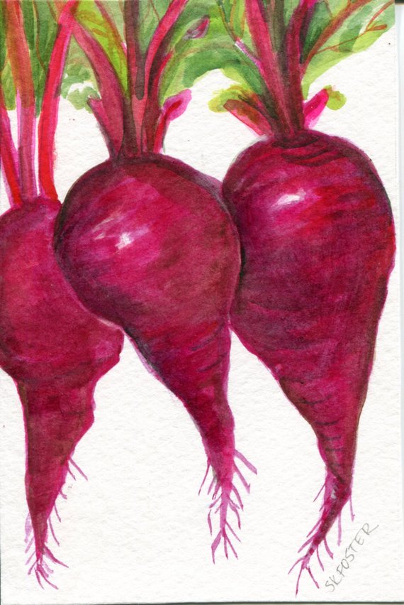 570x852 Beets Watercolor Painting Original Vegetable Illustration 4 Etsy