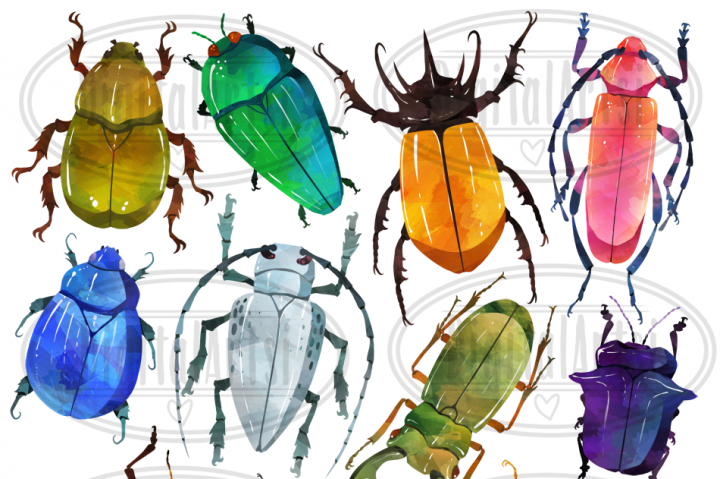 720x479 Watercolor Beetle Clipart By Digitalartsi