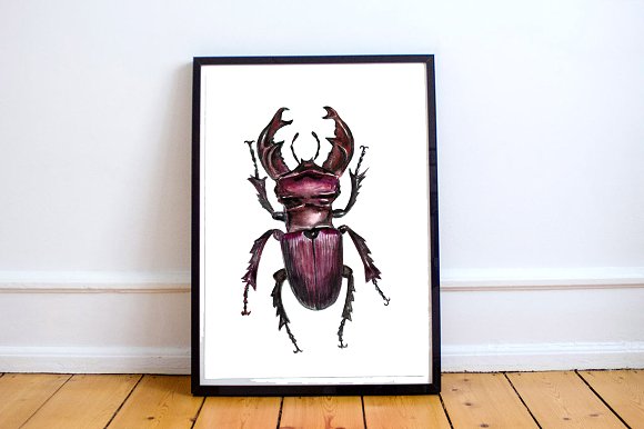 580x386 Watercolor Beetles Clipart Amp Print By T Design Bundles