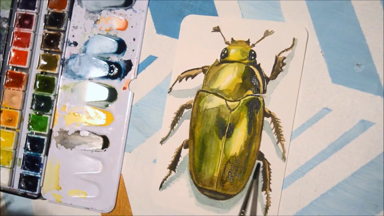 1280x720 Watercolor Speed Painting 'Chrysina Boucardi ' Beetle Series
