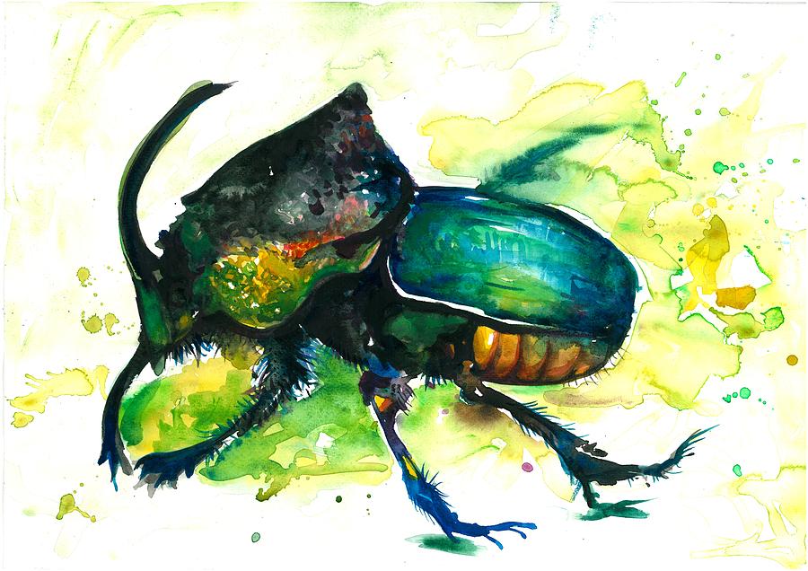 900x636 Xxl Format Scarab Rainbow Rhinoceros Beetle
