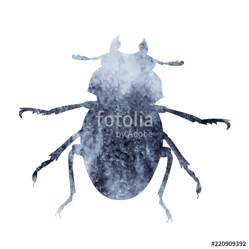 500x500 Watercolor Beetle, Silhouette Stock Image And Royalty Free Vector