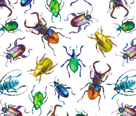 470x403 Watercolor Beetles Wallpaper