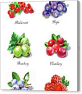 163x186 Watercolor Berries Illustration Collection I Painting By Irina
