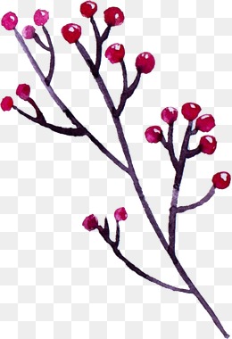 260x380 Watercolor Berries Png Images Vectors And Psd Files Free