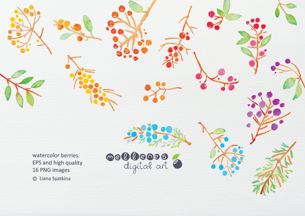1058x750 Watercolor Berries Berry, Watercolor And Composition