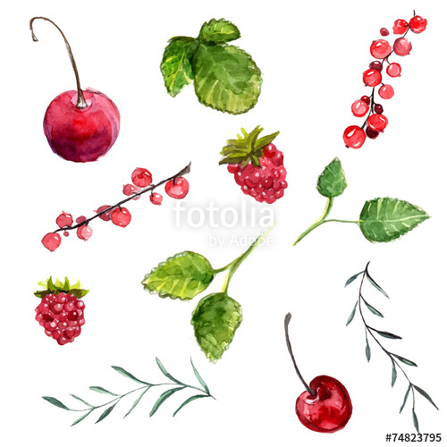 500x500 Watercolor Berries Cherry, Red Currant And Raspberry Stock Image