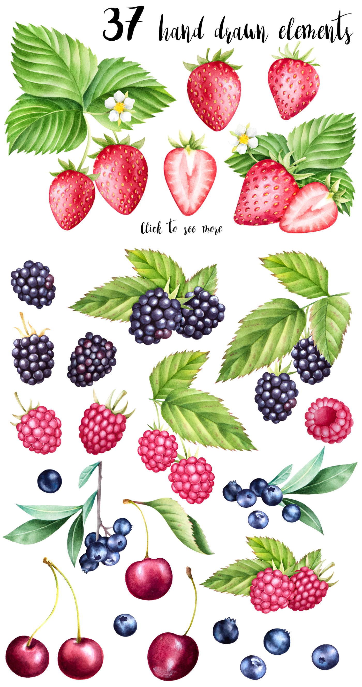 1400x2655 Watercolor Berries Collection By Eivanova Art