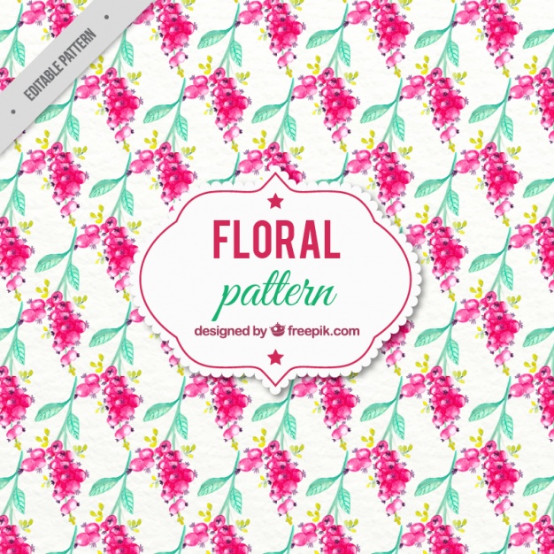 626x626 Watercolor Berries Pattern Vector Free Download