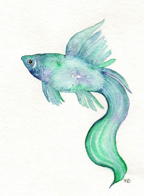 472x640 Betta Fish Watercolor