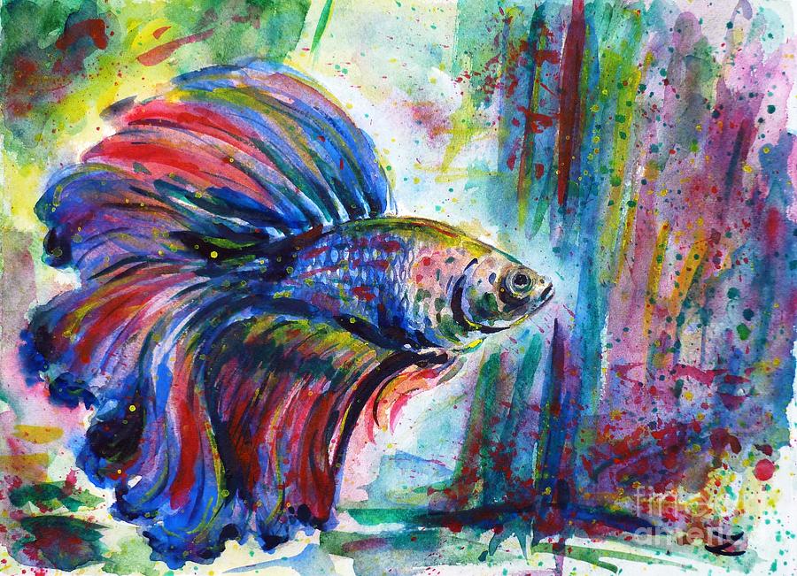900x651 Betta Painting By Zaira Dzhaubaeva