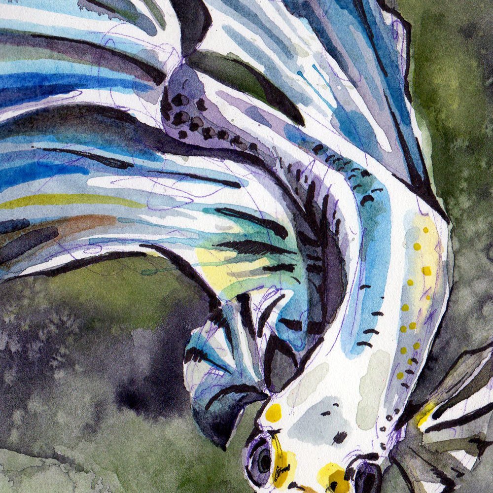 1000x1000 Watercolor Painting Of Blue Betta Fish
