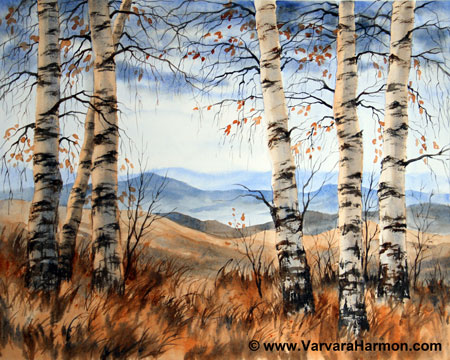 450x360 Birch Trees