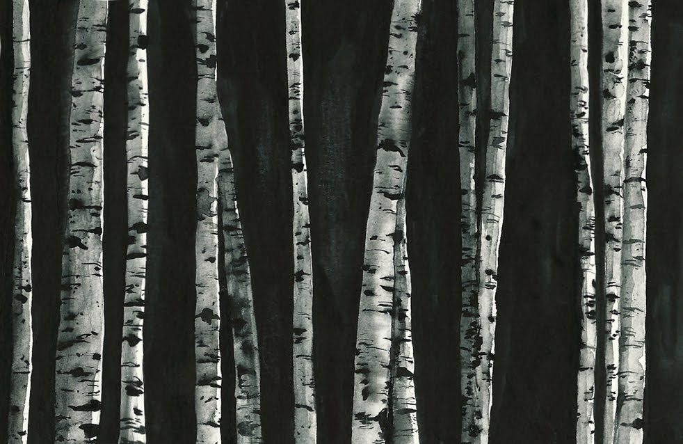 982x638 Dominique Chirinciuc Watercolor Birch Trees
