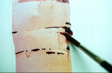 370x242 Watercolor Painting Tutorial