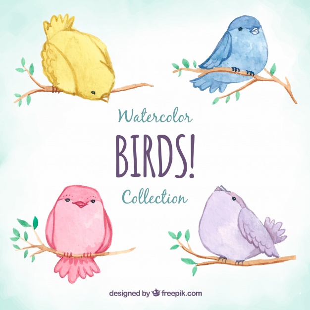 626x626 Cute Watercolor Bird Collection Vector Free Download