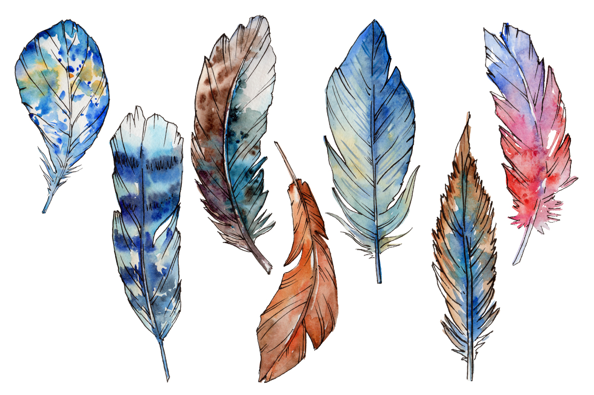 1160x772 Feather Png Watercolor Bird Set