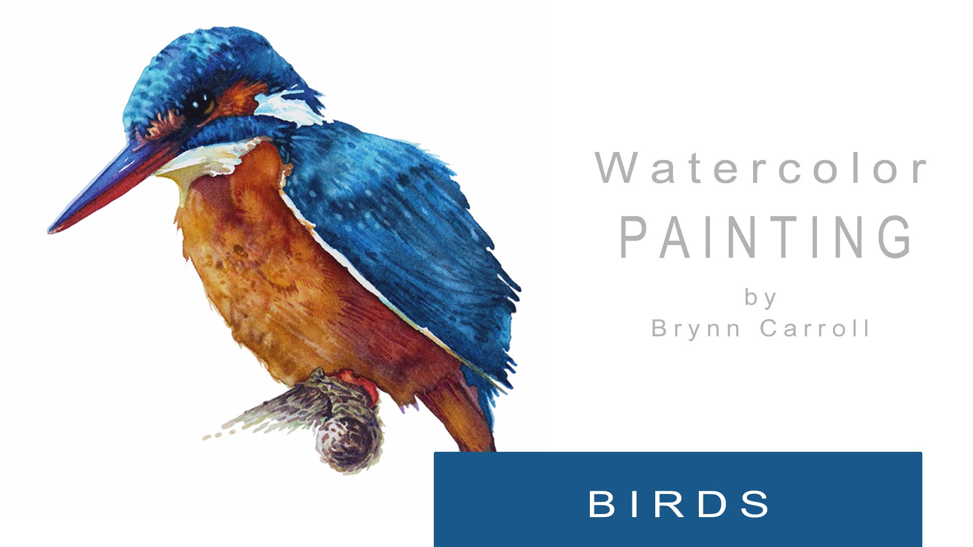1920x1080 How To Paint Realistic Birds With Watercolors