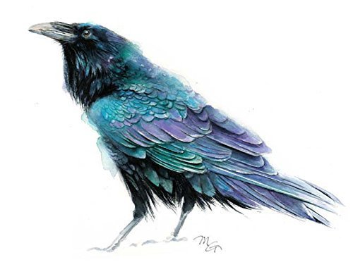 500x379 Raven Turquoise Blue Purple Watercolor Bird Print