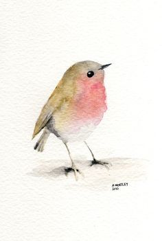 236x351 Image Result For Pajaros Azulejos Dibujos Watercolor