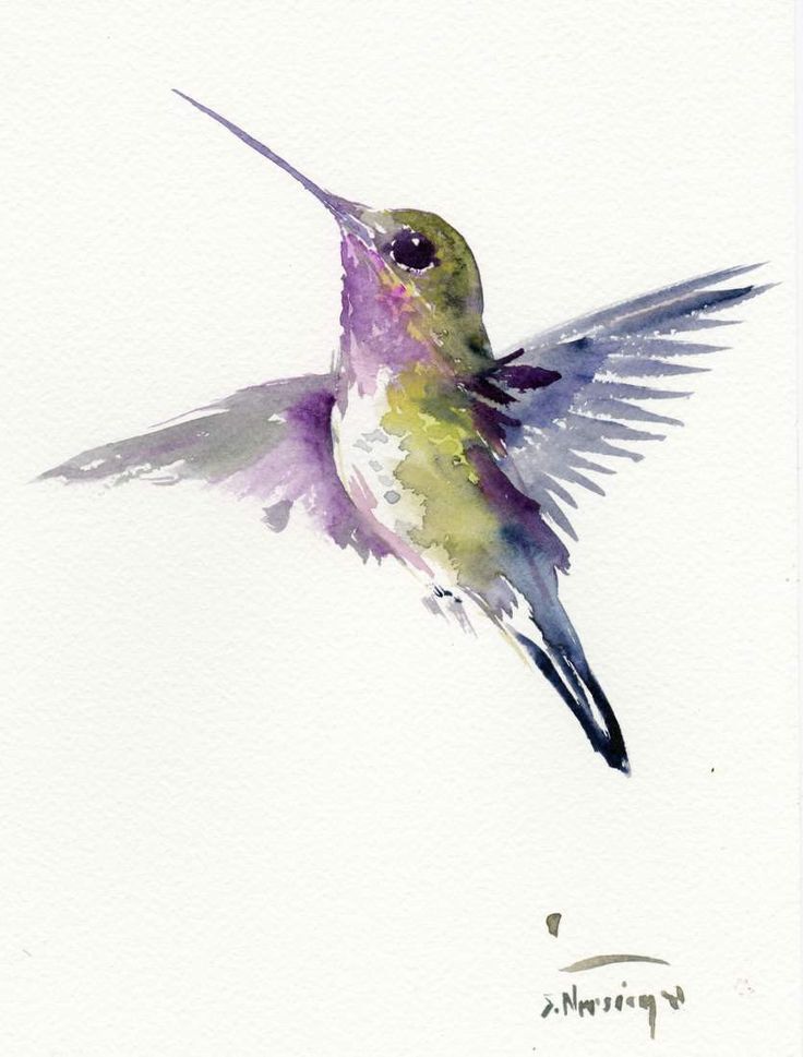 736x969 Image Result For Watercolour Bird Easy Stencil Tattoo