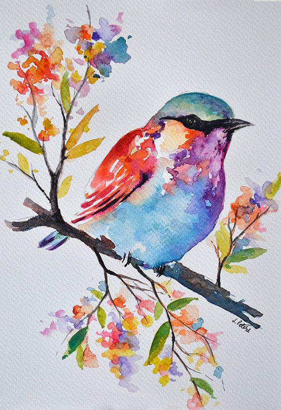 570x831 Original Watercolor Bird Painting, Pastel Colored Rainbow Roller
