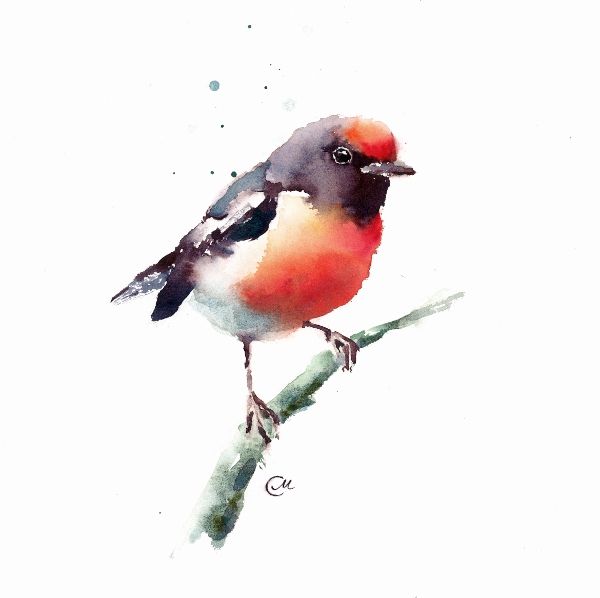 600x598 Watercolor Birds Watercolor In 2018 Watercolor