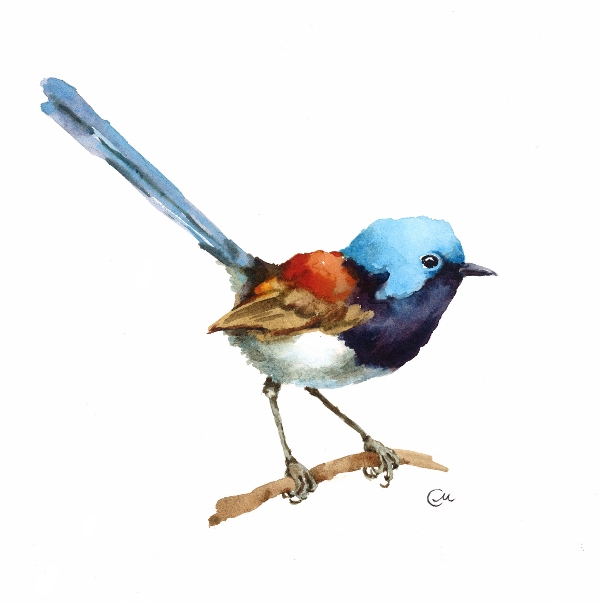 600x602 Watercolor Birds On Behance