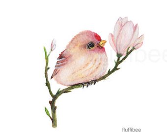 340x270 Watercolor Bird Art Etsy