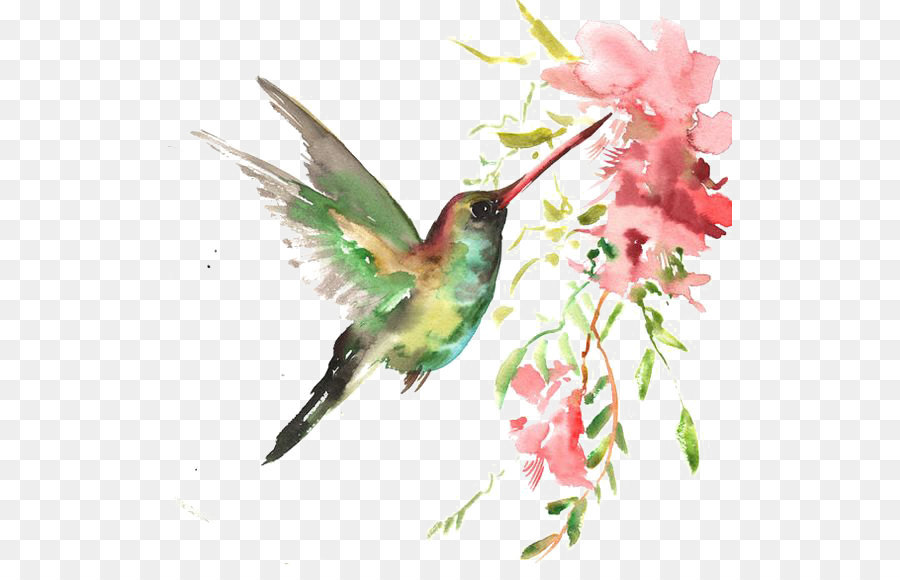 900x580 Watercolor Bird Png Download