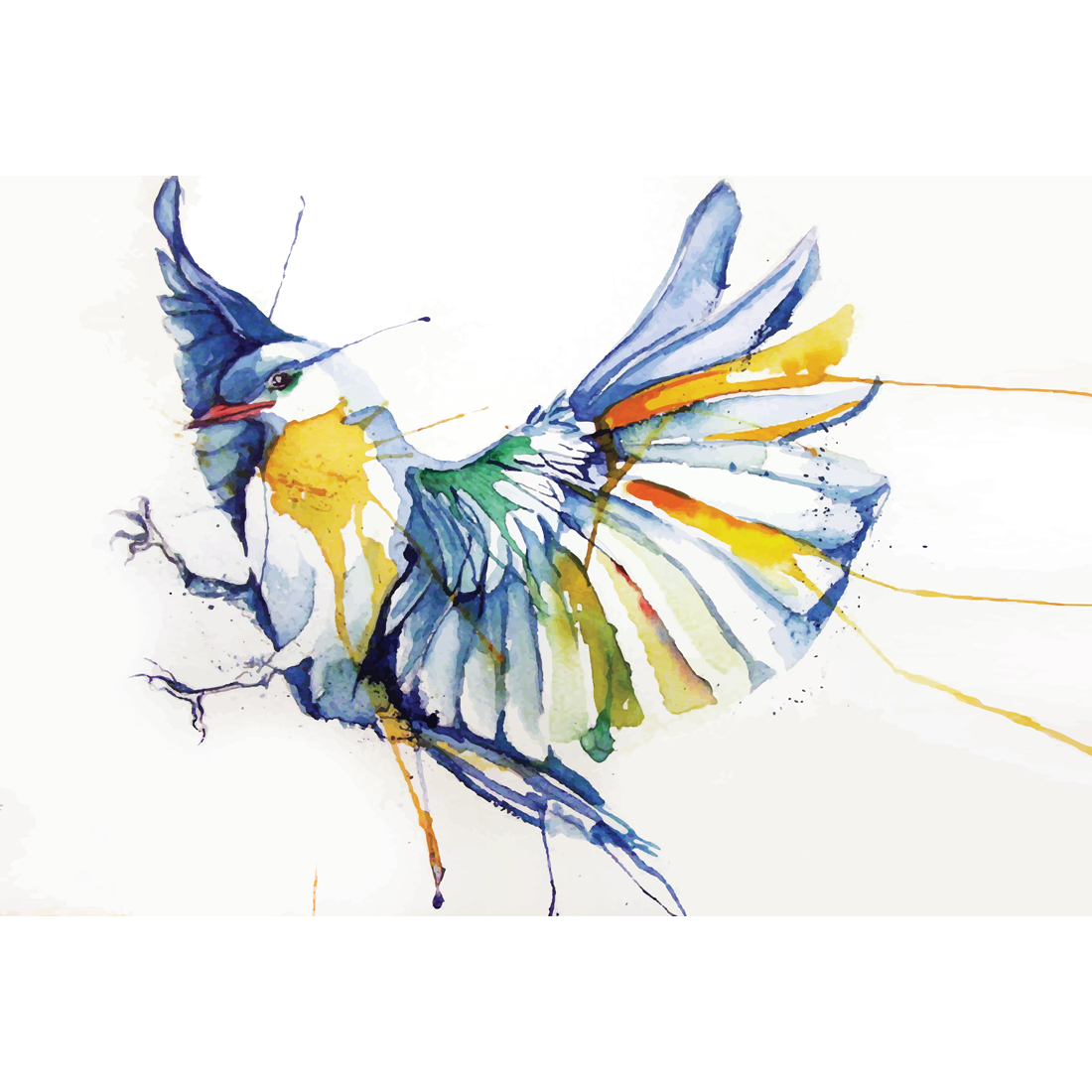 1100x1100 Watercolour Bird