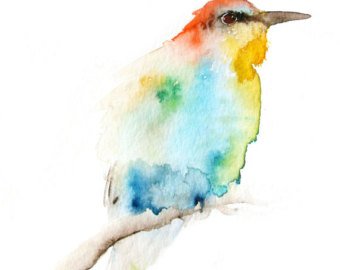 340x270 Bird Watercolor Etsy