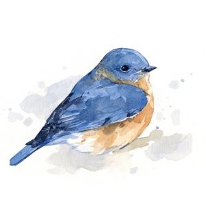 300x300 Bluebird Watercolor Bluebirds Watercolor, Bird And