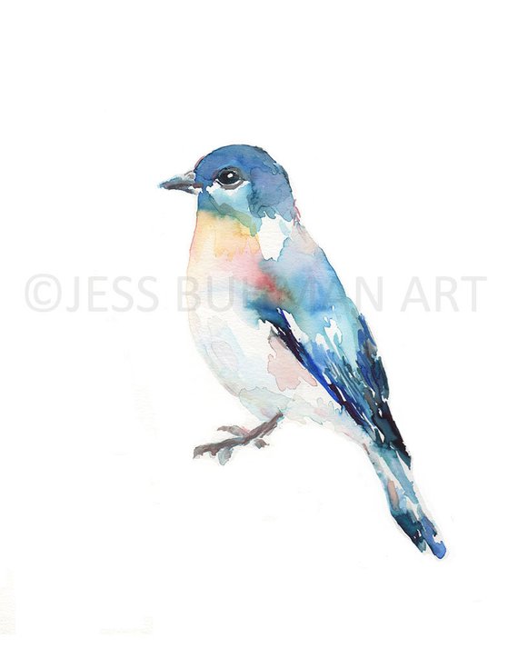 570x713 Watercolor Bluebird Print Titled Bluebird Of Etsy