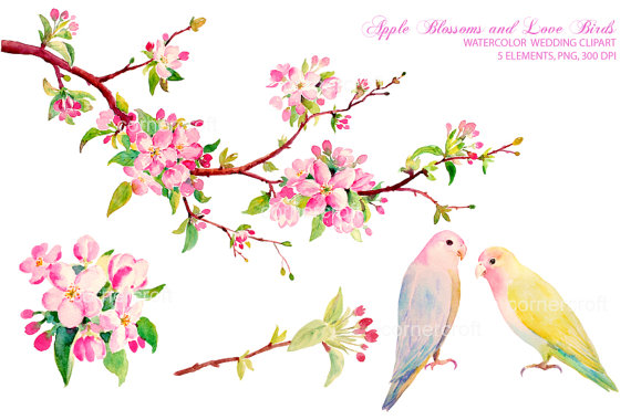570x380 Collection Of Free Blossomed Clipart Bird. Download On Ubisafe