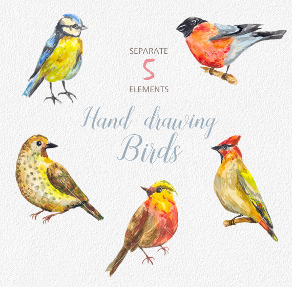 570x560 Digital Watercolor Birds Clip Art