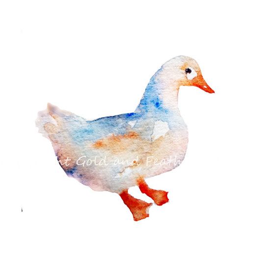 570x570 Duck Clip Art White Watercolour Bird Clipart By Goldandfeather