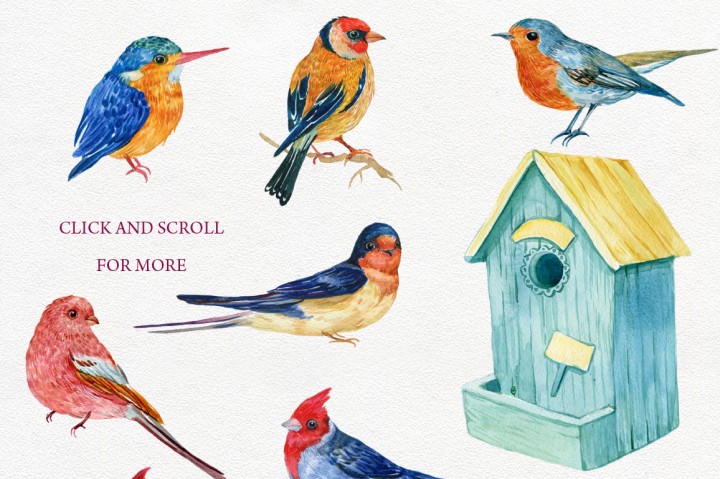 720x479 Fun Pics Amp Images