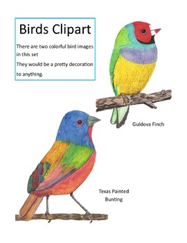 270x350 Watercolor Bird Clipart (Watercolor Whimsy) By Watercolor Whimsey