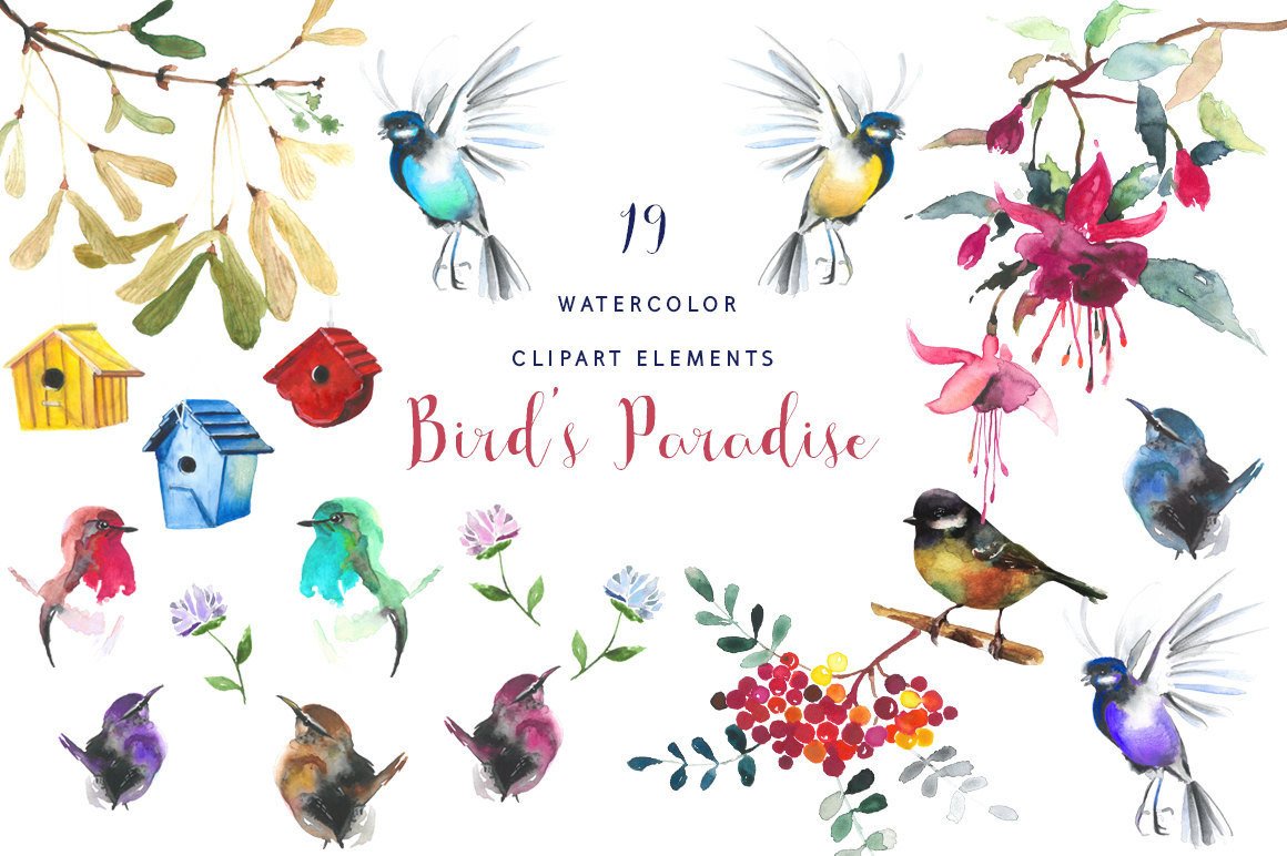 1160x772 Watercolor Bird Clipart Handpainted Watercolor Bird Etsy