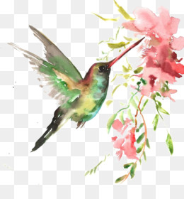 260x280 Watercolor Bird Png Amp Watercolor Bird Transparent Clipart Free