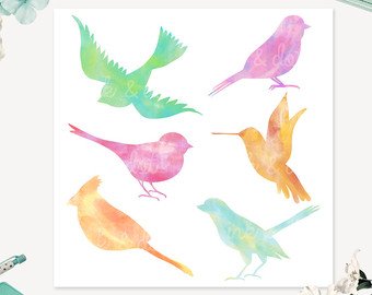 340x270 Watercolor Bird Art Etsy