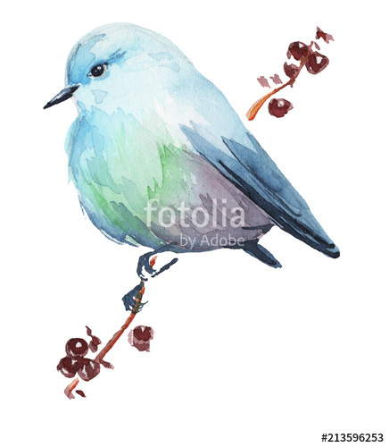 436x500 Watercolor Bird Illustration Clipart Stock Photo And Royalty