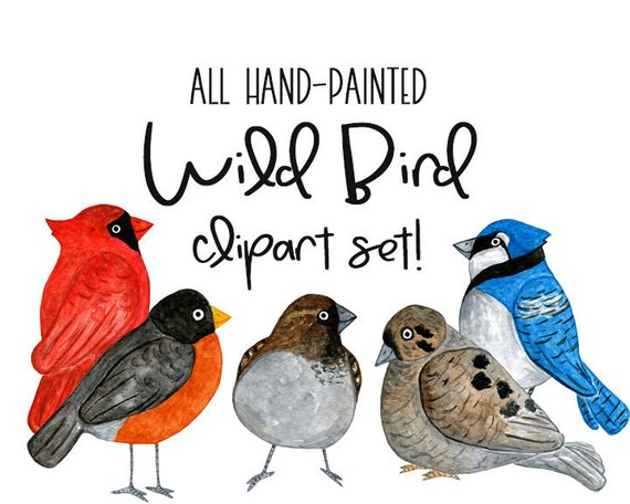 570x456 Watercolor Birds Bird Clipart Cardinal Clipart Robin Etsy