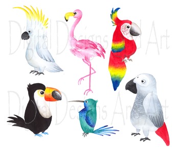 350x292 Watercolor Birds Clipart, Tropical Bird Clipart, Watercolor Bird