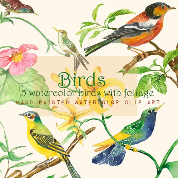 570x570 Bird Clip Art Printable Birds Watercolor Bird Illustration Etsy