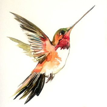 354x354 Drawn Bird Hummingbird