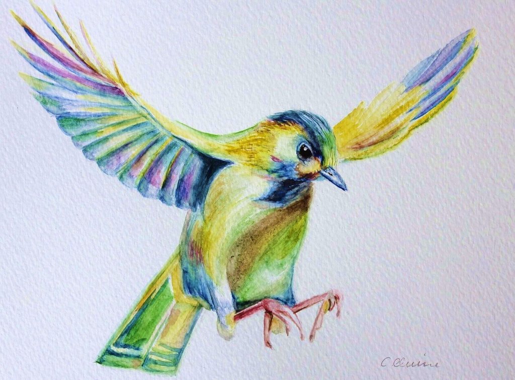 1024x755 Flying Bird